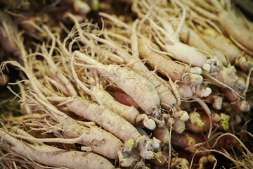 Ginseng root