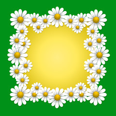 Summer background with daisy