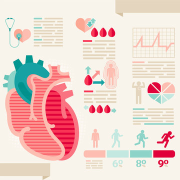 Human heart/info-graphic of Healthcare