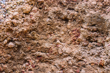 laterite soil