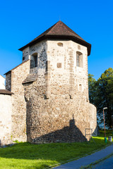 Fototapeta na wymiar castle in Kremnica, Slovakia