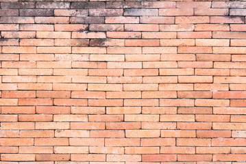 Fototapeta premium Brick Wall