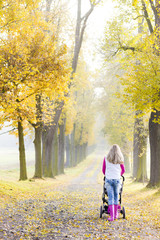 Fototapeta premium woman with a pram on walk in autumnal alley
