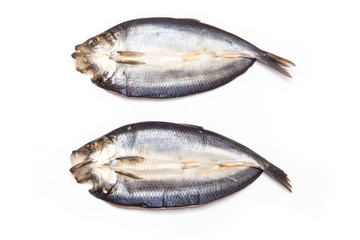Kippers isolated on a white studio background.