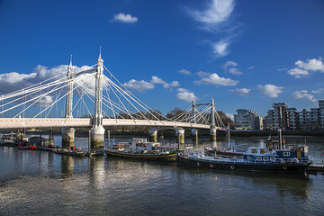 Fototapeta premium Albert Bridge, London