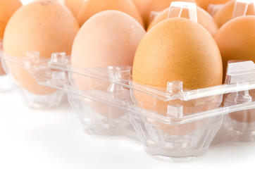 Eggs packed isolated white background