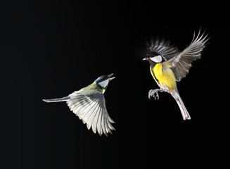 En vuelo.