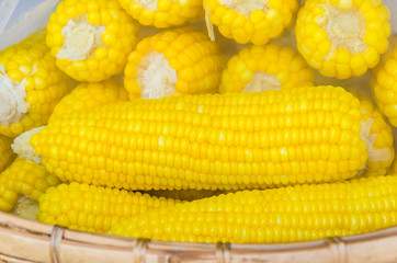 steam corn