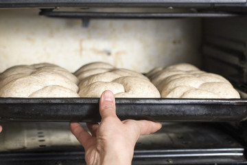 Baker preparing bread
