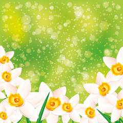 Green background. Flowers.