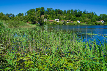 See bei Kloster Seeon, Chiemgau, Bayern, Germany