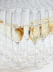 glasses of champagne