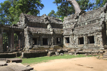 Ta prohm ruins, Angkor Wat, Cambodia