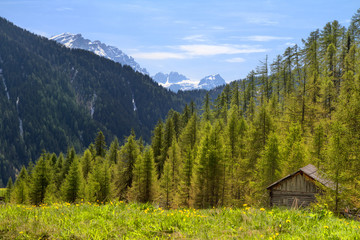 Fototapeta na wymiar Alpenlandschaft in Südtirol