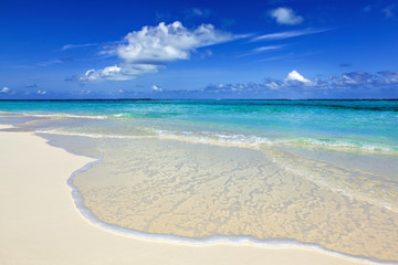 paradise beach on the island