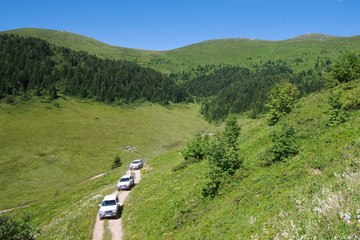 Off Road Cars Crossing "biogradska Gora" National Park, Monteneg © ollirg