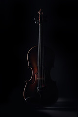 Old violin in shadow