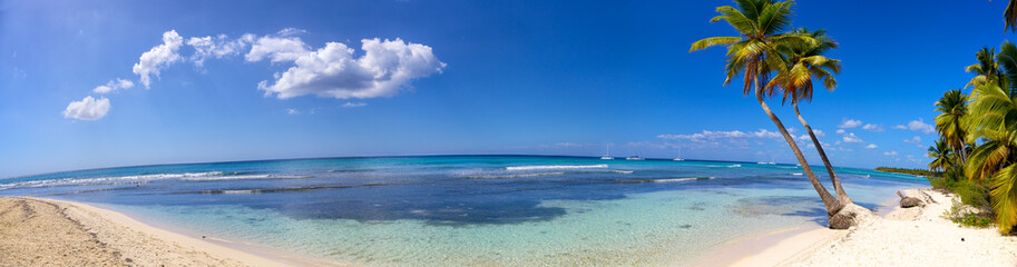 Panoramic view of tropical sand beach with palms
