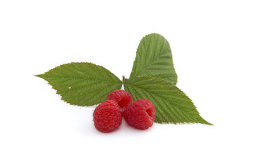 Framboises