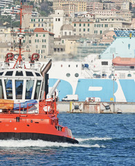 tug in the port