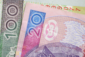 Polish zloty