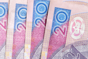 20 złoty