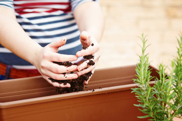 Hands pouring soil on a pot