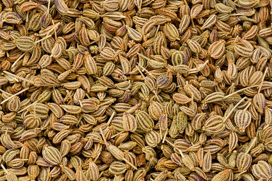 Ajwain Seeds (Trachyspermum ammi)
