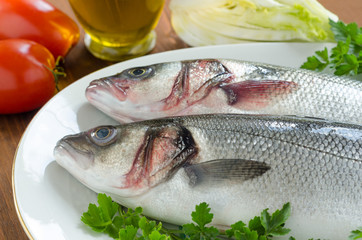 Spigole fresche, fresh european bass