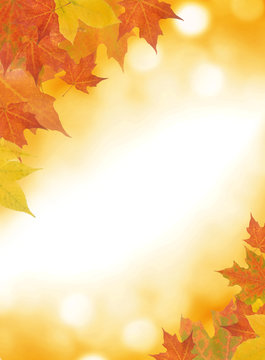 Autumn leaf background with room for copy space.