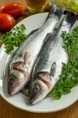 Spigole fresche, fresh european bass