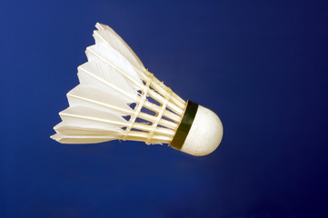 Shuttlecocks with feathers for badminton .