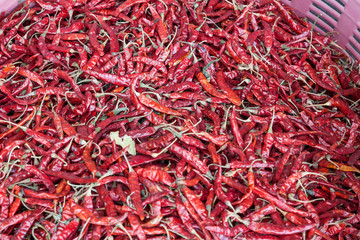 Fototapeta premium Dried red chilli