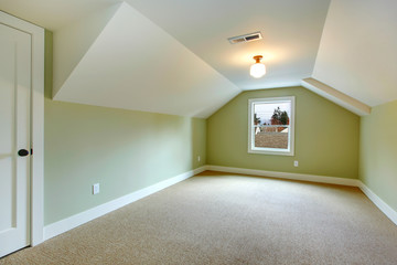 Empty room with green walls and white vaulted ceiling