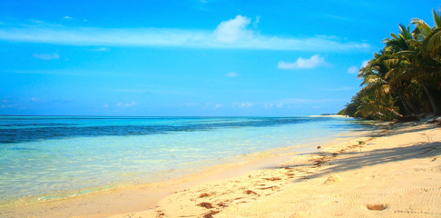 Fototapeta na wymiar beach and tropical sea