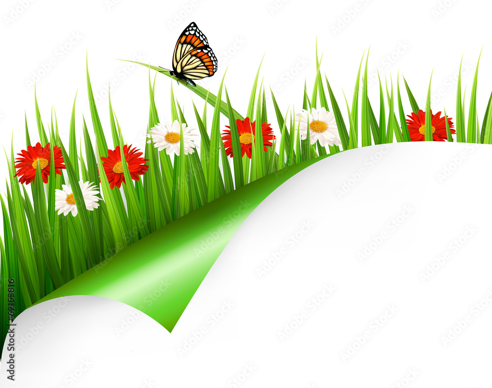 Poster Spring background with flowers, grass and a butterfly. Vector.