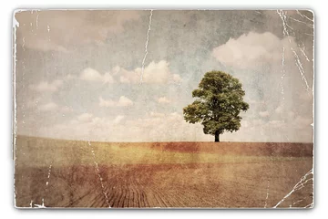 Fototapeten Vintage-Foto von Baum © Binkski
