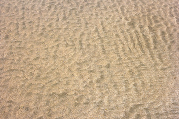 Fototapeta premium Small sand dunes on beach. Sand texture