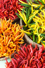 Colorful organic pappers