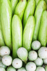 Fresh vegetables Eggplant