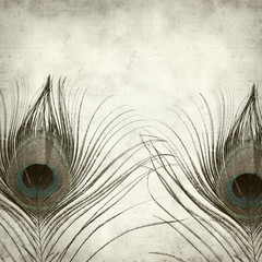 Obraz premium textured old paper background