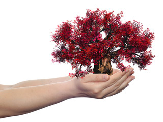 Conceptual human hand and tree