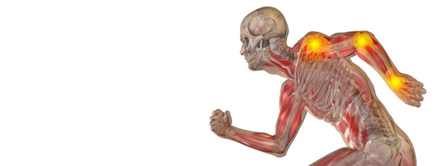 Conceptual human pain anatomy