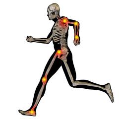 3D human man anatomy with articular pain
