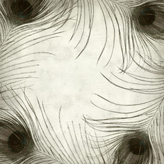 Obraz premium textured old paper background