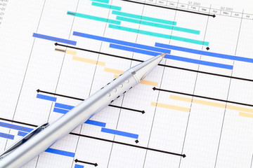 Project management