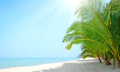 Fototapeta na wymiar Beach with palm trees. Koh Chang