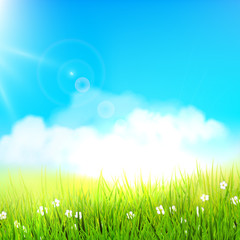 Fototapeta premium Spring meadow