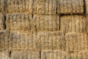 wall surface of the straw bales