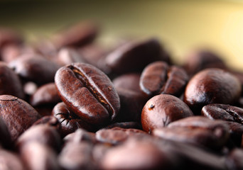 Coffee bean close up